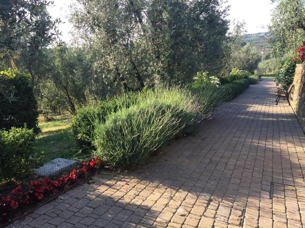 Podere Jana Antico Frantoio Винчи Экстерьер фото